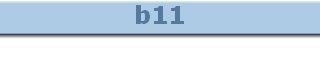 b11