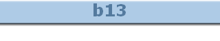 b13