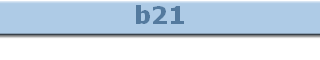 b21