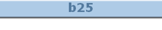 b25