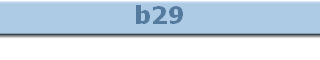 b29