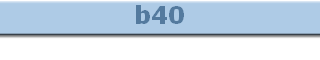 b40