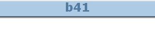 b41