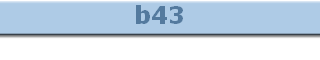 b43