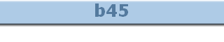 b45