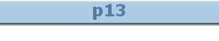 p13