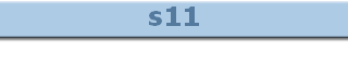 s11